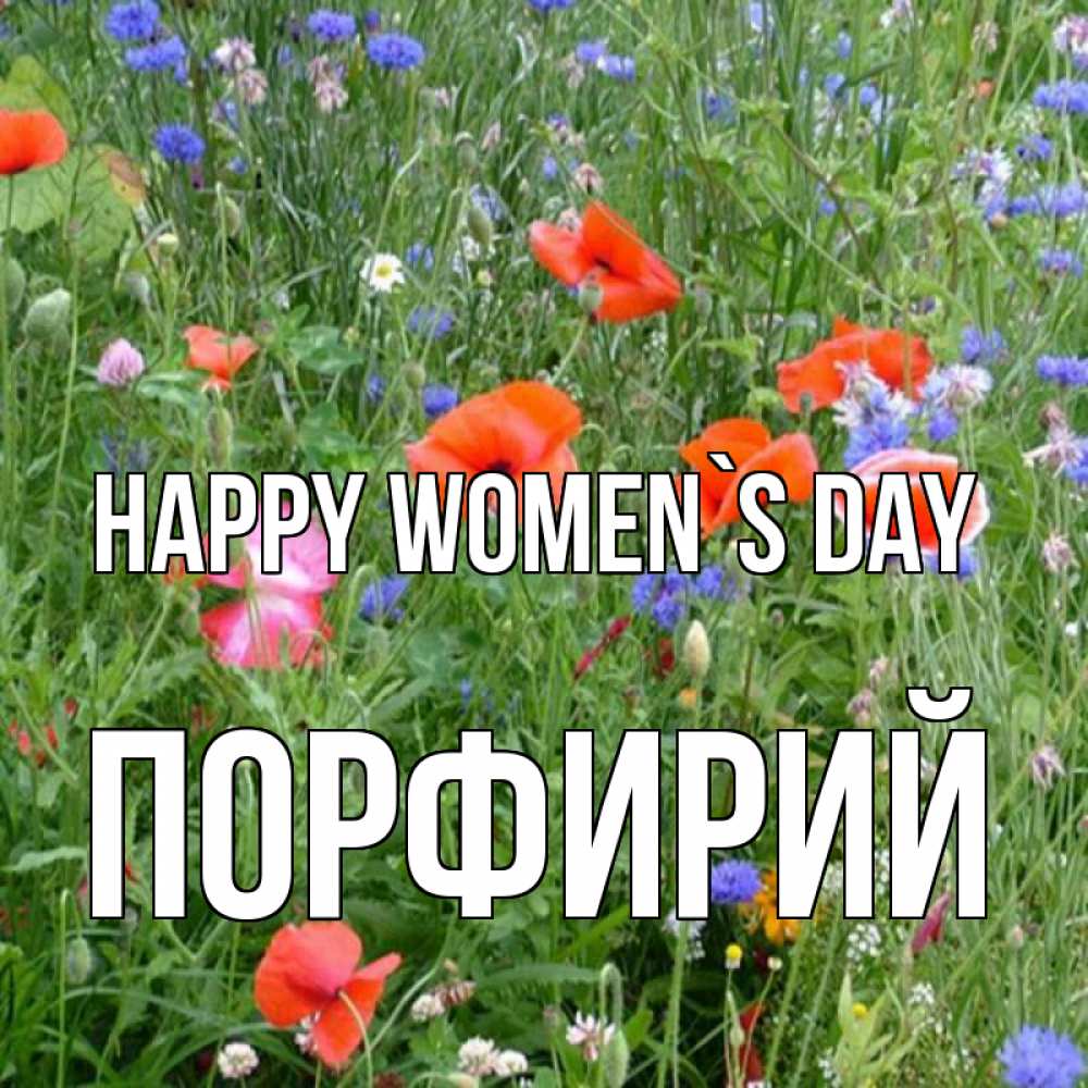 Greetings card с именем, Порфирий happy women`s day международный женский день 4 Greetings with text for free download 